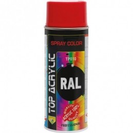 PINTURA SPRAY TOP RAL 6009...